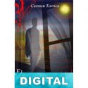El visitante nocturno Carmen Torrico