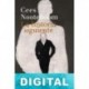 La historia siguiente Cees Nooteboom
