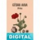 Prins César Aira