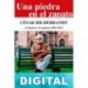 Una piedra en el zapato César Hildebrandt