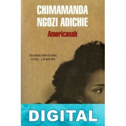 Americanah Chimamanda Ngozi Adichie