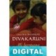 Mi hermana del alma Chitra Baner Divakaruni