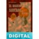 El diario sideral de Juan Solo Albert Campillo Lastra