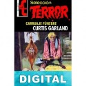 Carruaje fúnebre Curtis Garland