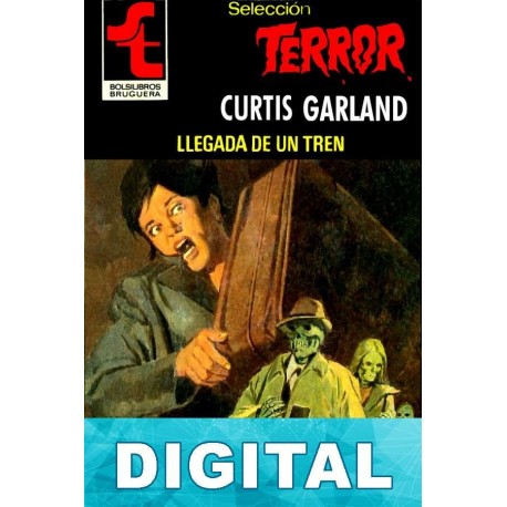 Llegada de un tren Curtis Garland