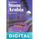 Stone Arabia Dana Spiotta