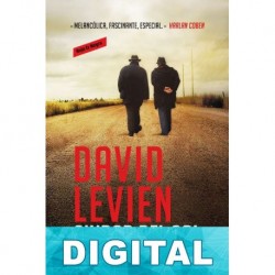 Ciudad del Sol David Levien