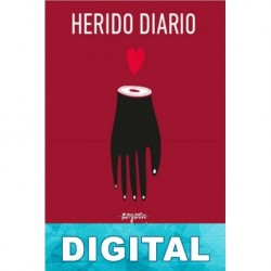Herido diario David Martínez Álvarez «Rayden»
