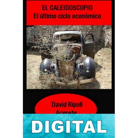 El caleidoscopio: El último ciclo económico David Ripoll Acerete