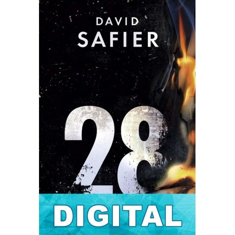 28 días David Safier