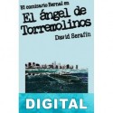 El ángel de Torremolinos David Serafín