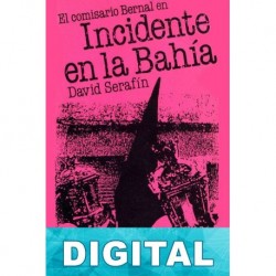 Incidente en la bahía David Serafín