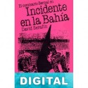 Incidente en la bahía David Serafín