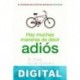 Hay muchas maneras de decir adiós David Servan-Schreiber