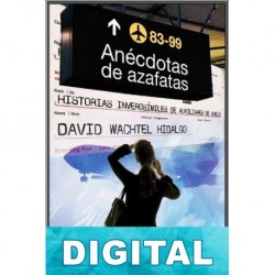 Anécdotas de azafatas David Wachtel Hidalgo