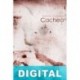Cacheo Dennis Cooper
