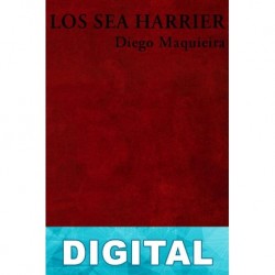 Los Sea Harrier Diego Maquieira