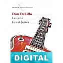 La calle Great Jones Don DeLillo