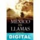 México en llamas Alejandro Basañez Loyola