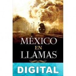 México en llamas Alejandro Basañez Loyola