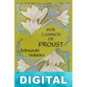 Por caminos de Proust Edmundo Valadés