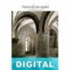 Arquitectura románica: N. O. de España Ernesto Ballesteros Arranz
