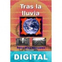 Tras la lluvia Félix Díaz González