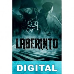 Laberinto Fran Llorente