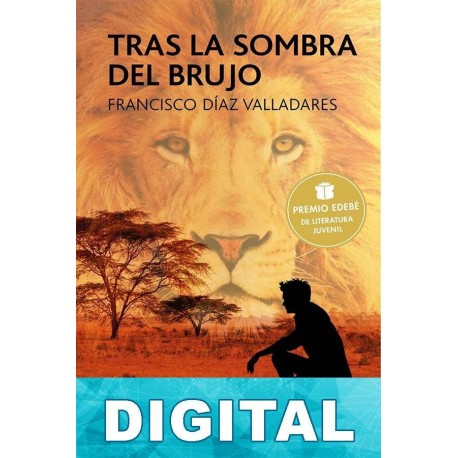 Tras la sombra del brujo Francisco Díaz Valladares