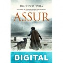 Assur Francisco Narla
