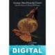Royal Flash George MacDonald Fraser
