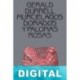 Murciélagos dorados y palomas rosas Gerald Durrell