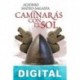 Caminarás con el sol Alfonso Mateo-Sagasta