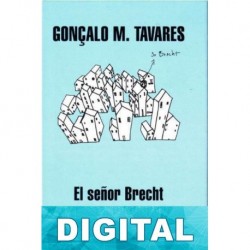 El señor Brecht Gonçalo M. Tavares
