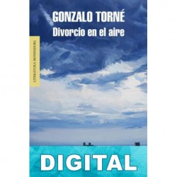 Divorcio en el aire Gonzalo Torné