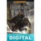 El embajador Graham McNeill