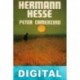 Peter Camenzind Hermann Hesse