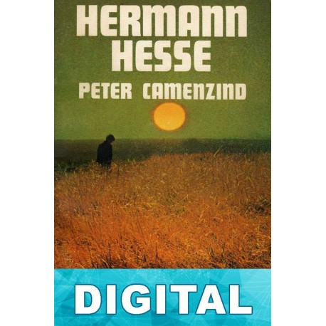 Peter Camenzind Hermann Hesse