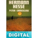 Peter Camenzind Hermann Hesse