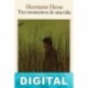 Tres momentos de una vida Hermann Hesse