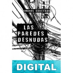 Las paredes desnudas Imanol Caneyada