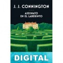 Asesinato en el laberinto J. J. Connington