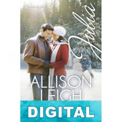 Vidas robadas Allison Leigh