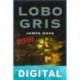 Lobo gris James Nava