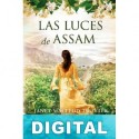 Las luces de Assam Janet MacLeod Trotter