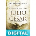 Las lágrimas de Julio César Jesús Maeso de la Torre