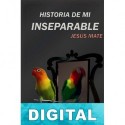 Historia de mi inseparable Jesús Mate