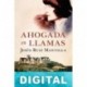 Ahogada en llamas Jesús Ruiz Mantilla