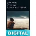 Avenida de los Misterios John Irving