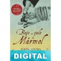 Bajo un cielo de mármol John Shors